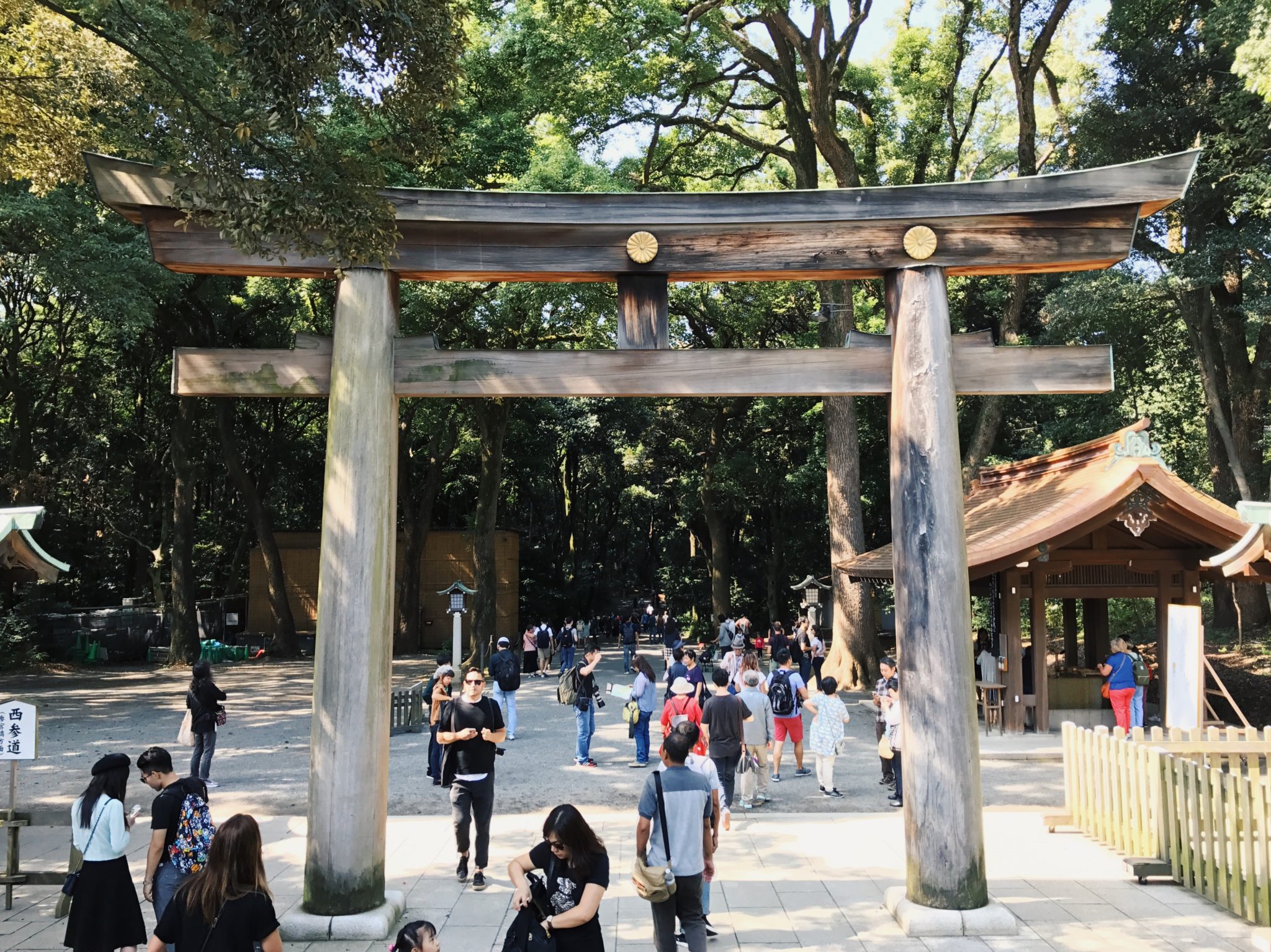 Meiji Jingu Shrine, Tokyo, Japan