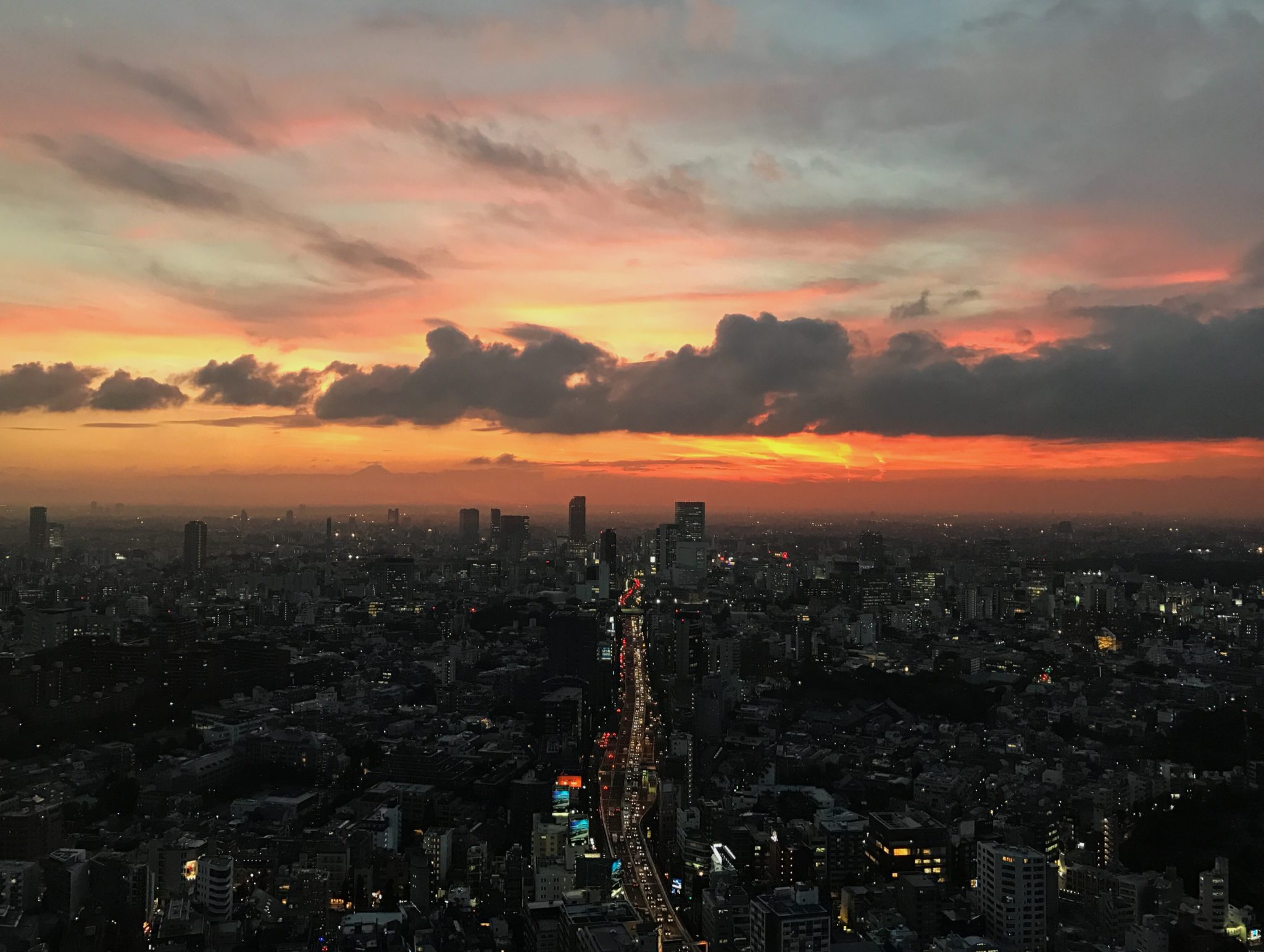 Tokyo, Japan City View