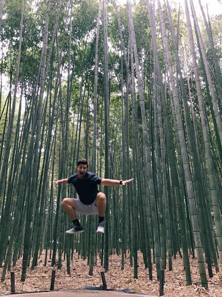 Bamboo Forest in Arashiyama | 2 Day Kyoto Itinerary