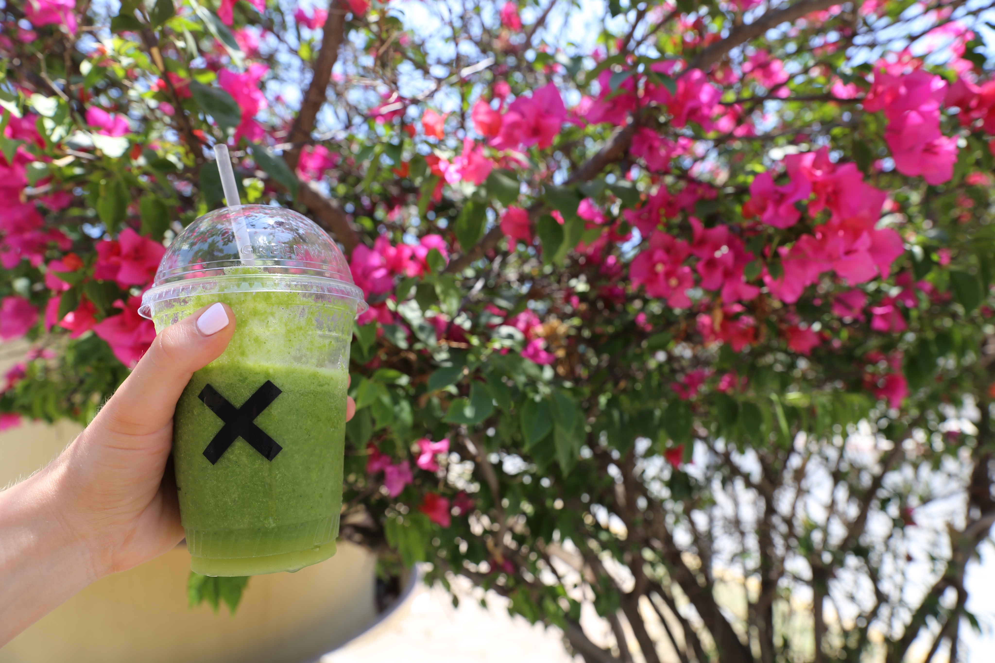 Loot green juice | What to Know Before Your Trip to Zihuatanejo