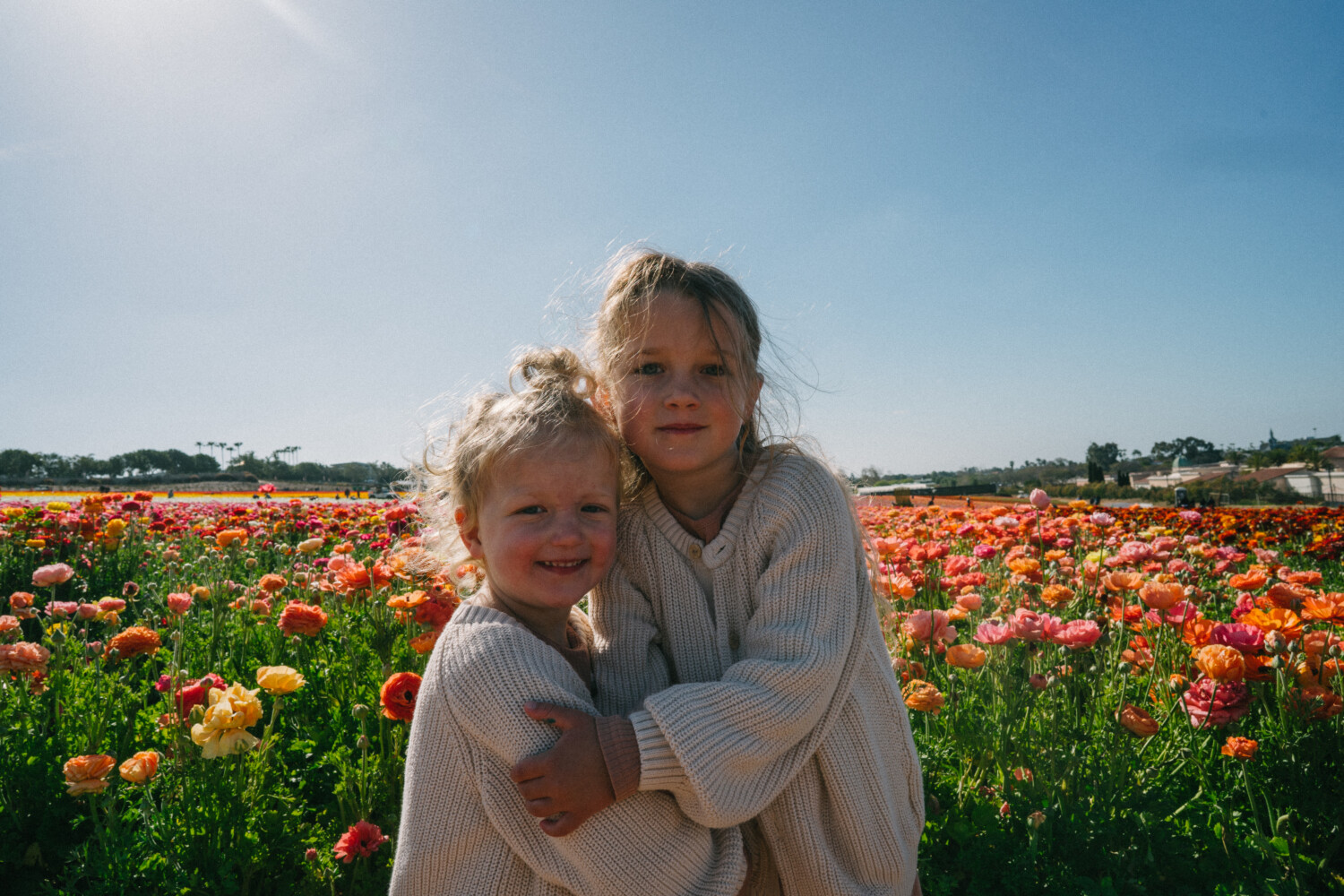 little girls in flower field