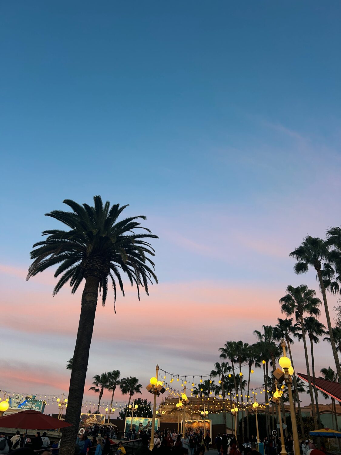 sunset in california adventure . disneyland tips