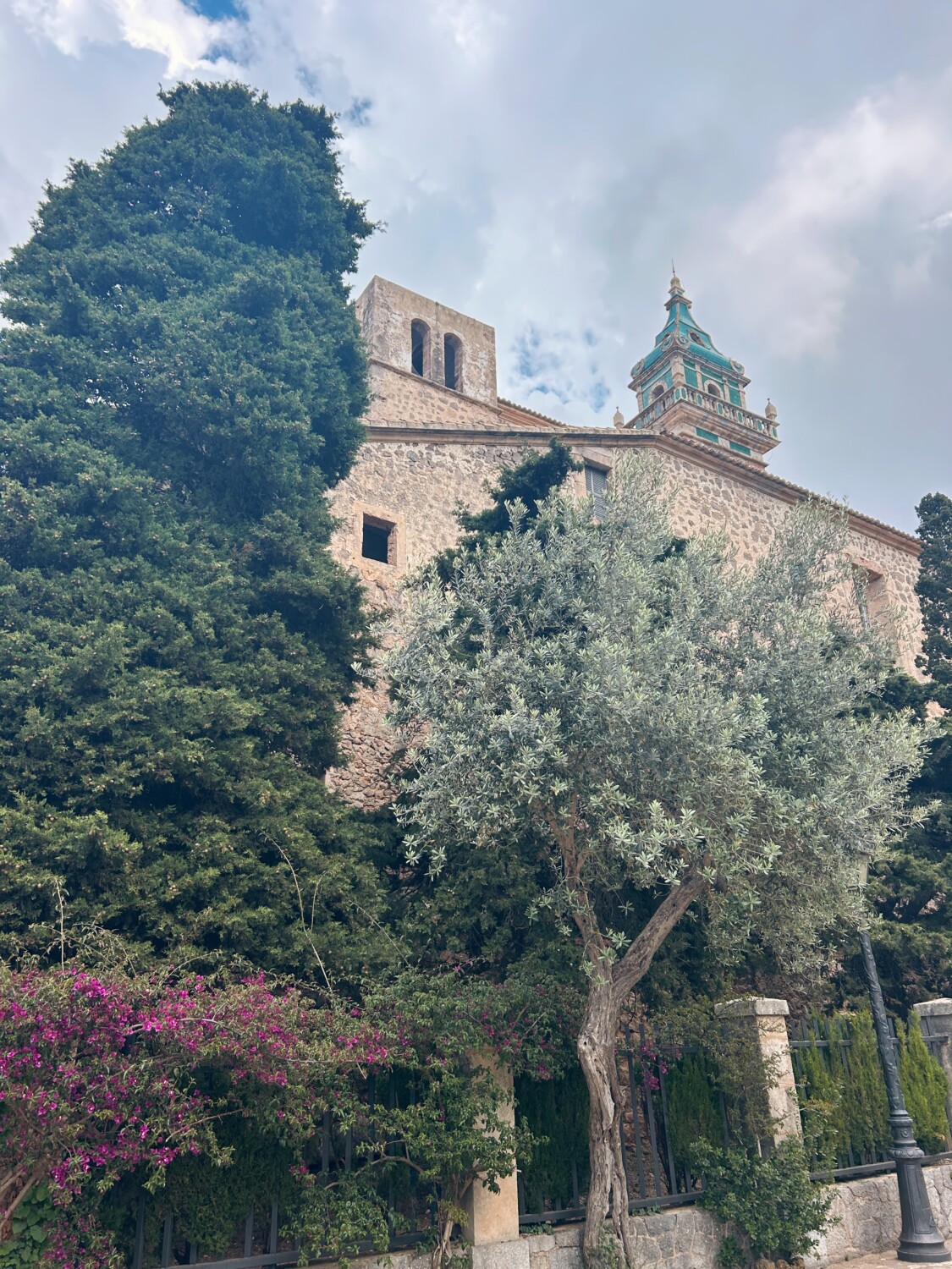 Valldemossa garden