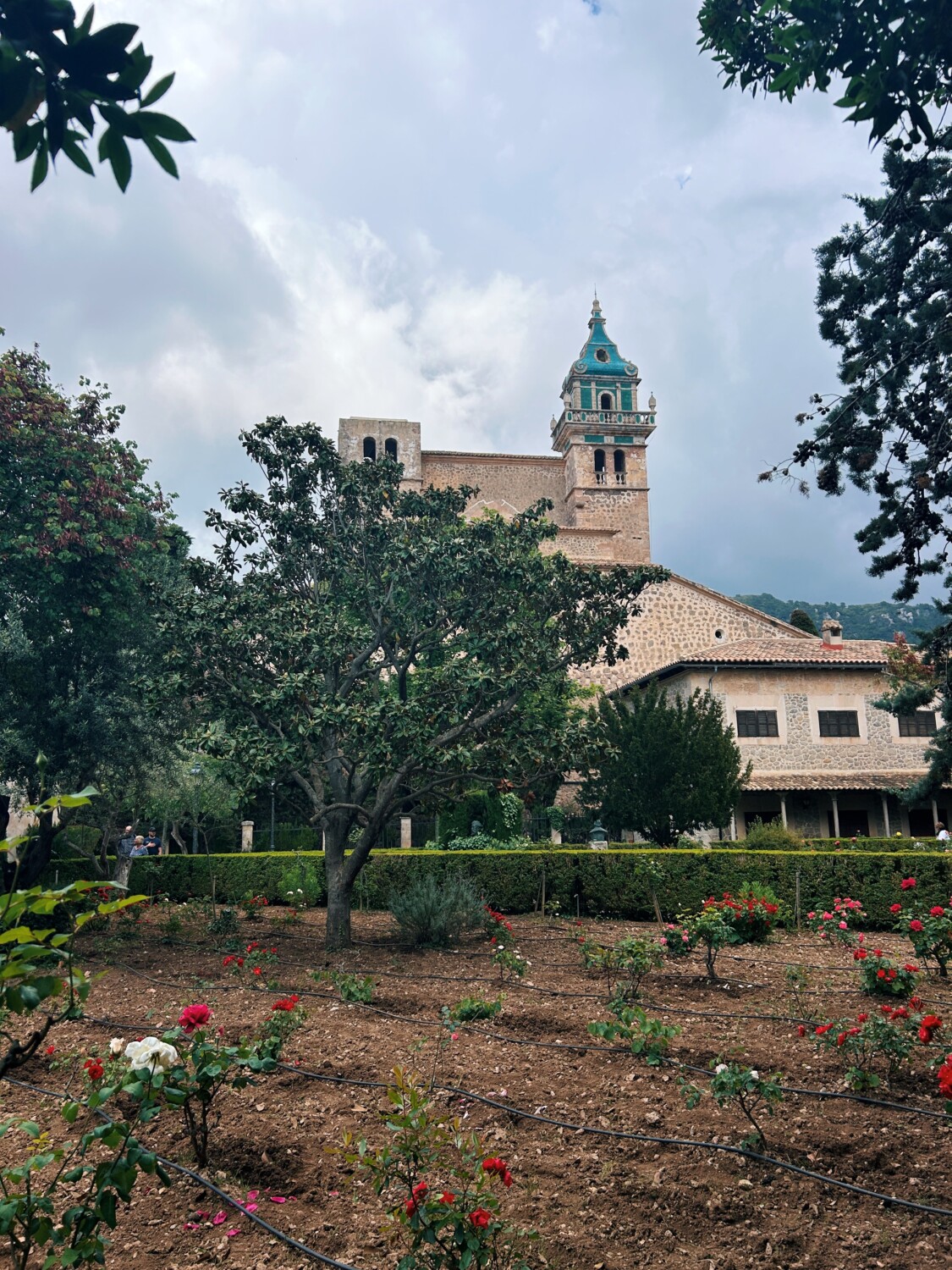 Carthusian Monastery garden in Valldemossa