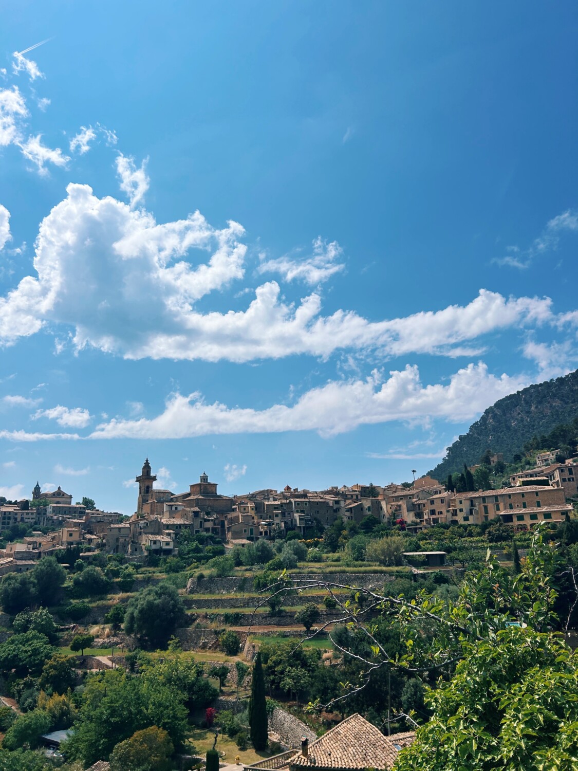 Valldemossa and the mountains around it 