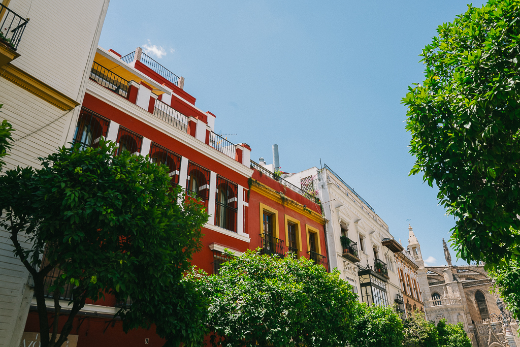 red buildings and trees in seville spain