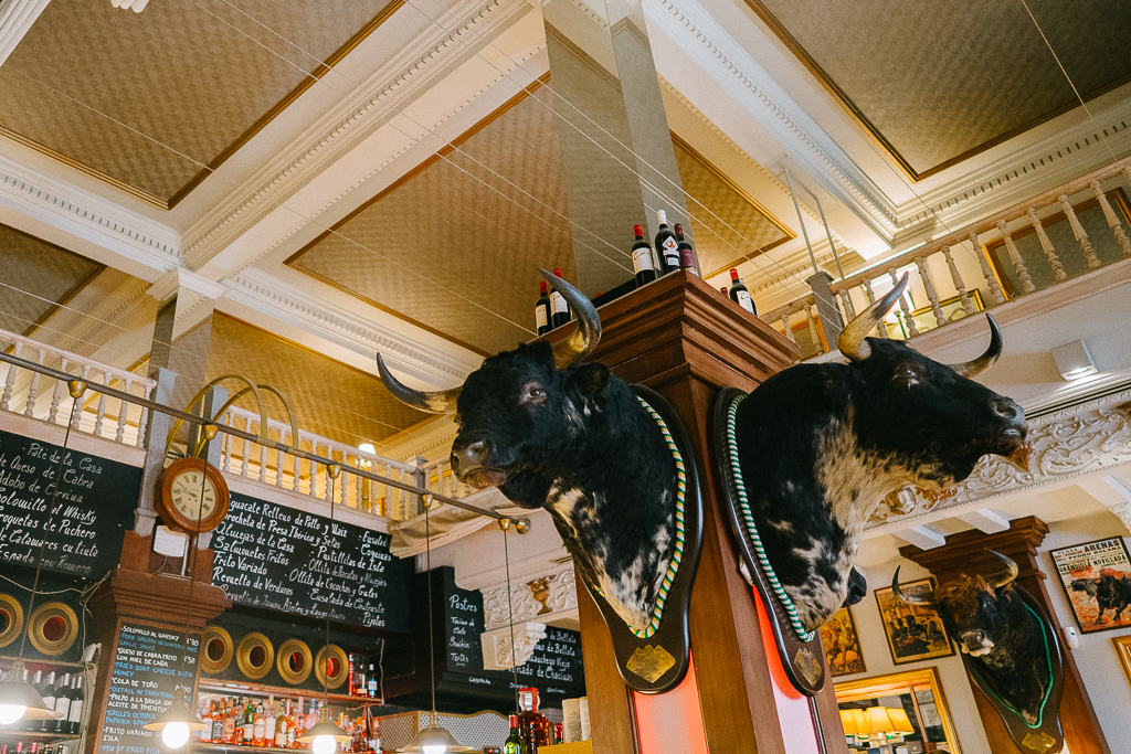 two bull heads in a tapas bar in sevilla spain