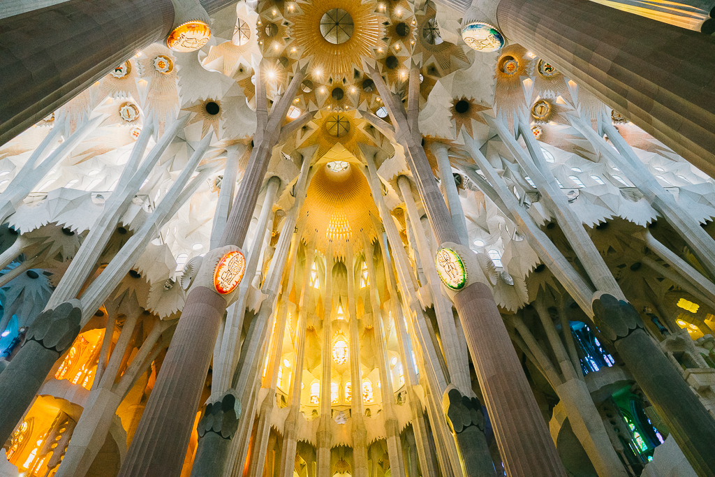 lighting inside of la sagrada familia ceiling