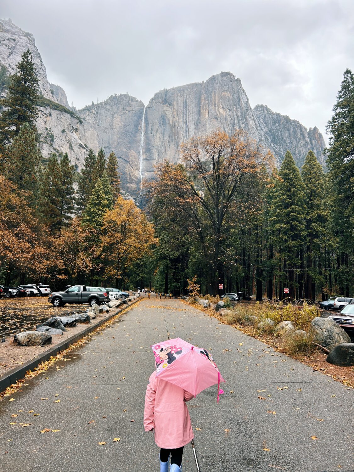 girl with an umbrella looking up at yosemite falls