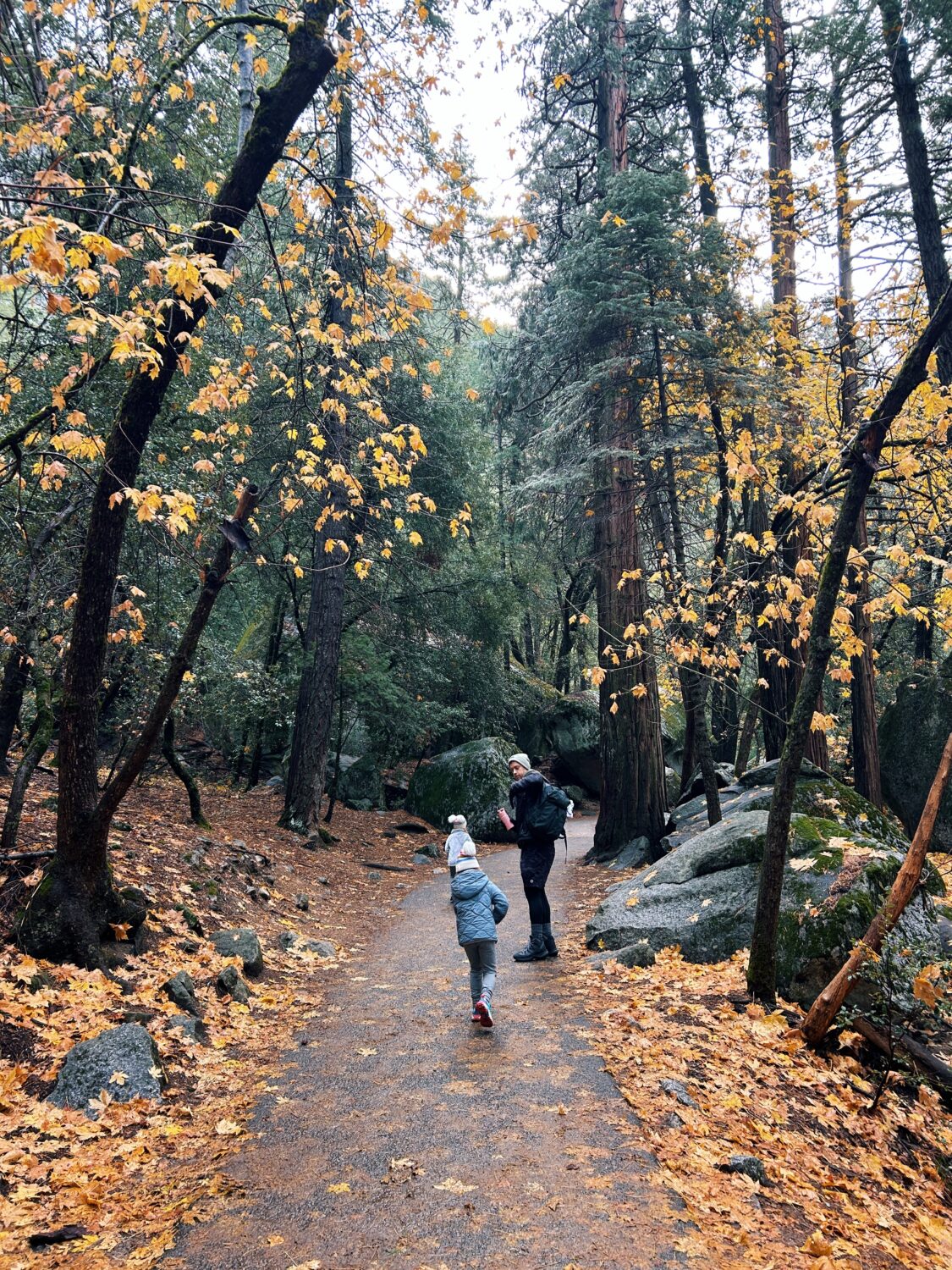 tyler nuss walking the beginning of the john muir trail to hike vernal falls in yosemite