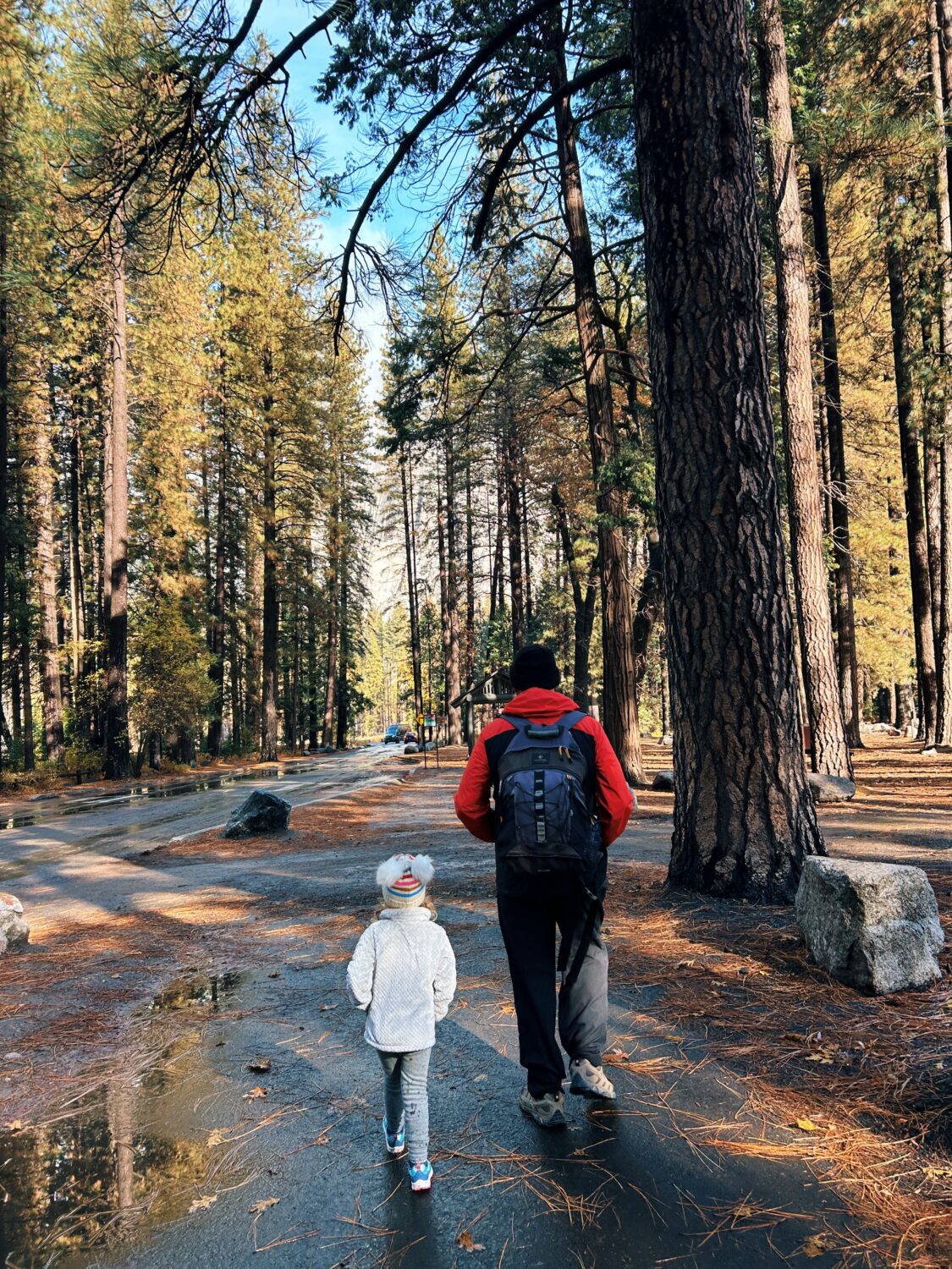 a man and his granddaughter walking in yosemite national park