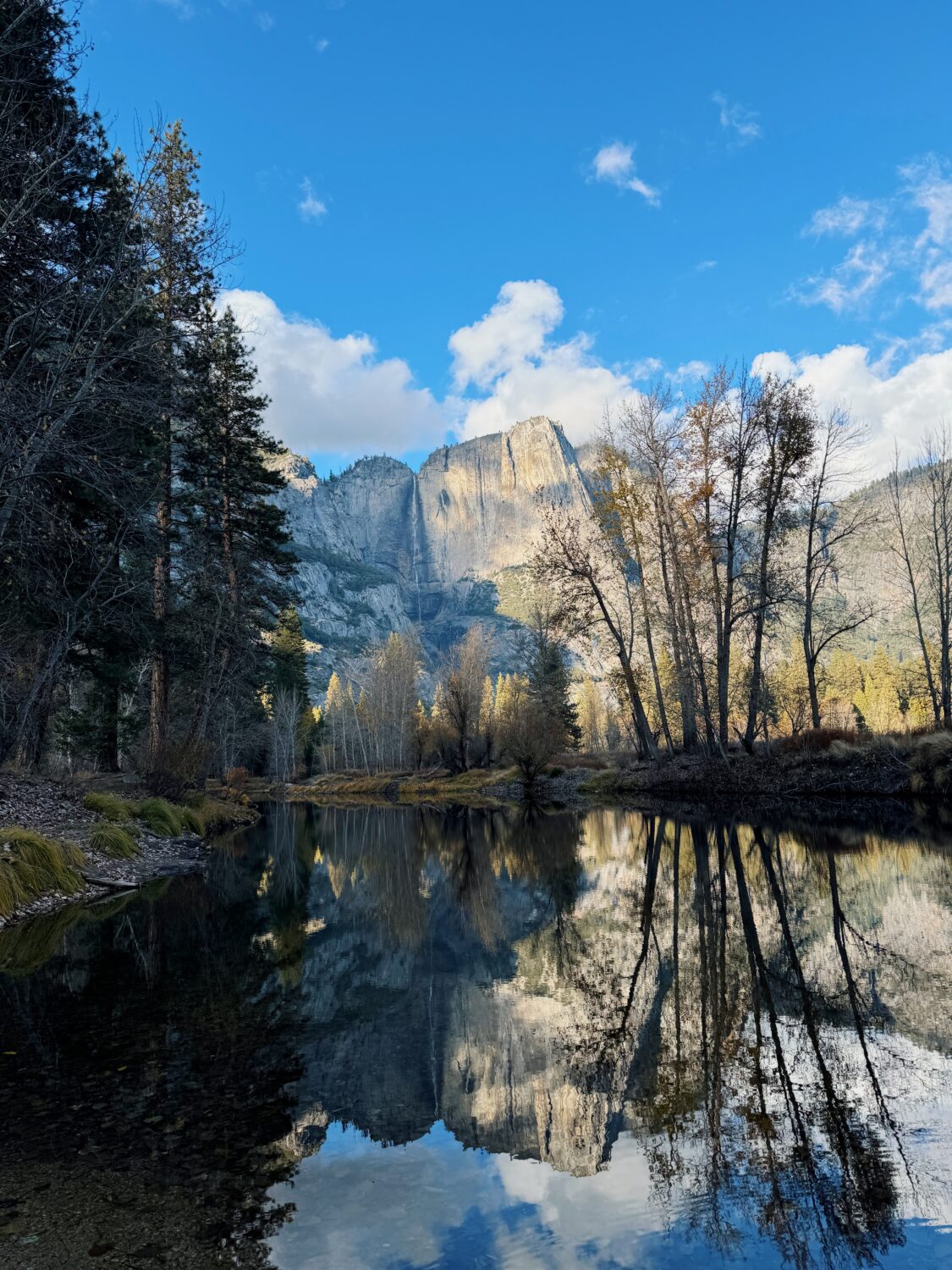 view of yosemite falls reflection