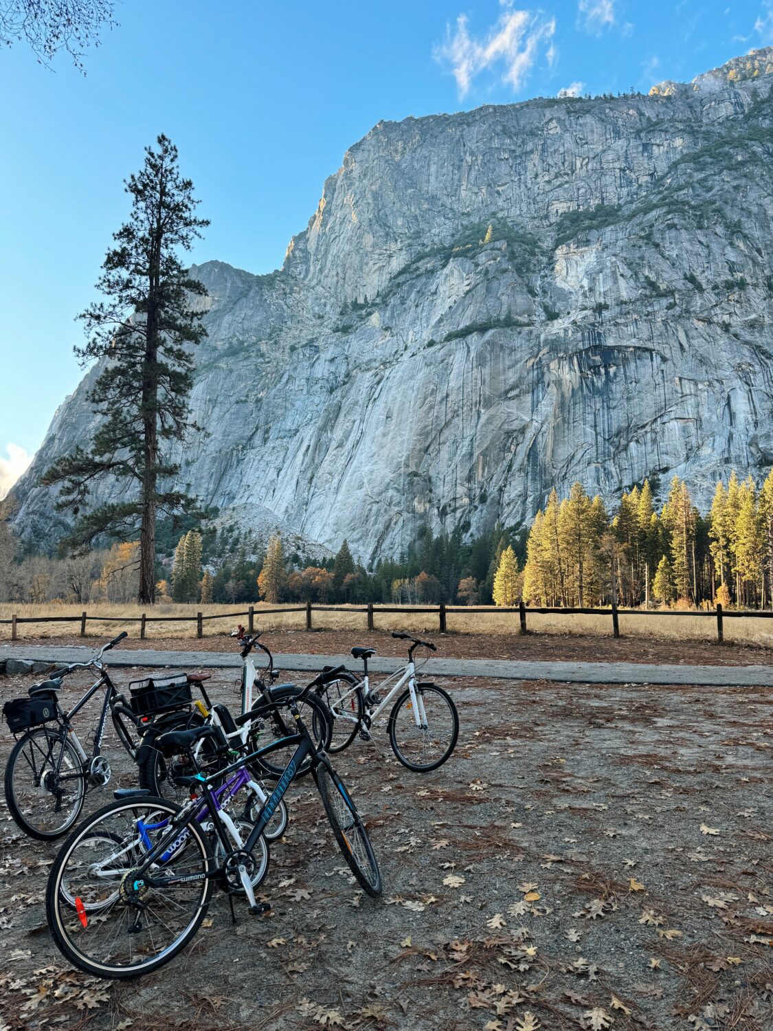 Yosemite view and bike trail