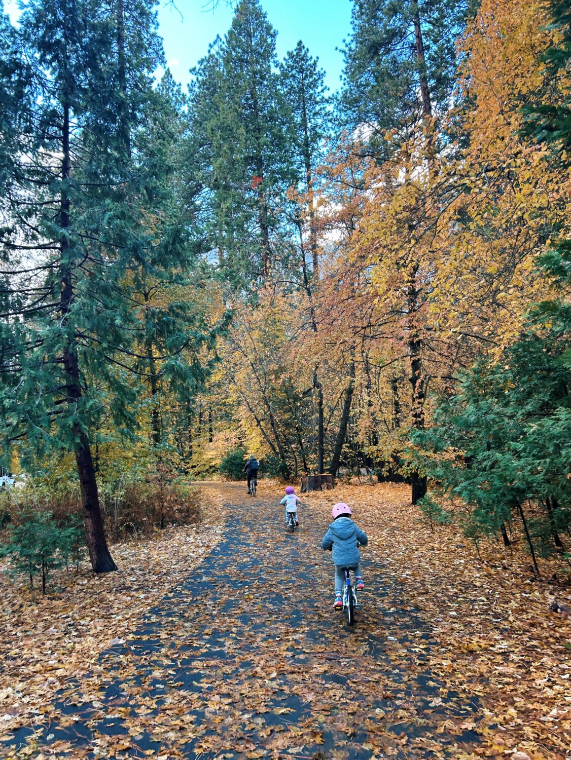 biking in yosemite in the autumn