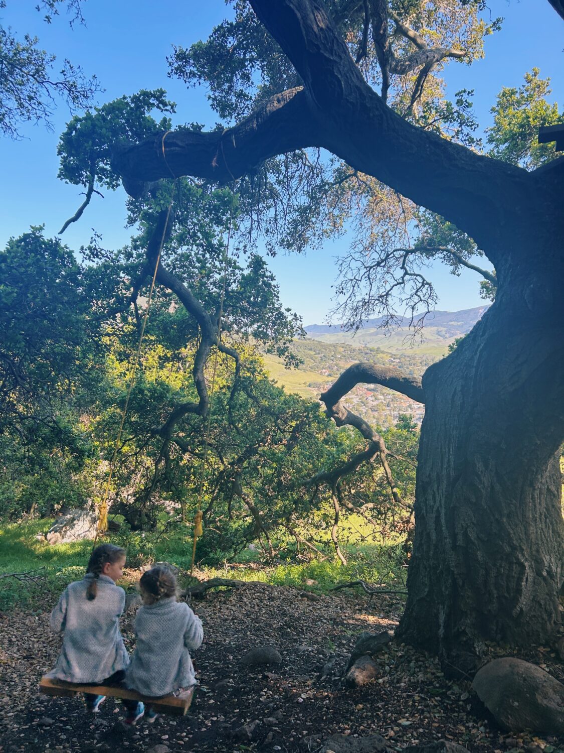 swing on madonna mountain in slo 