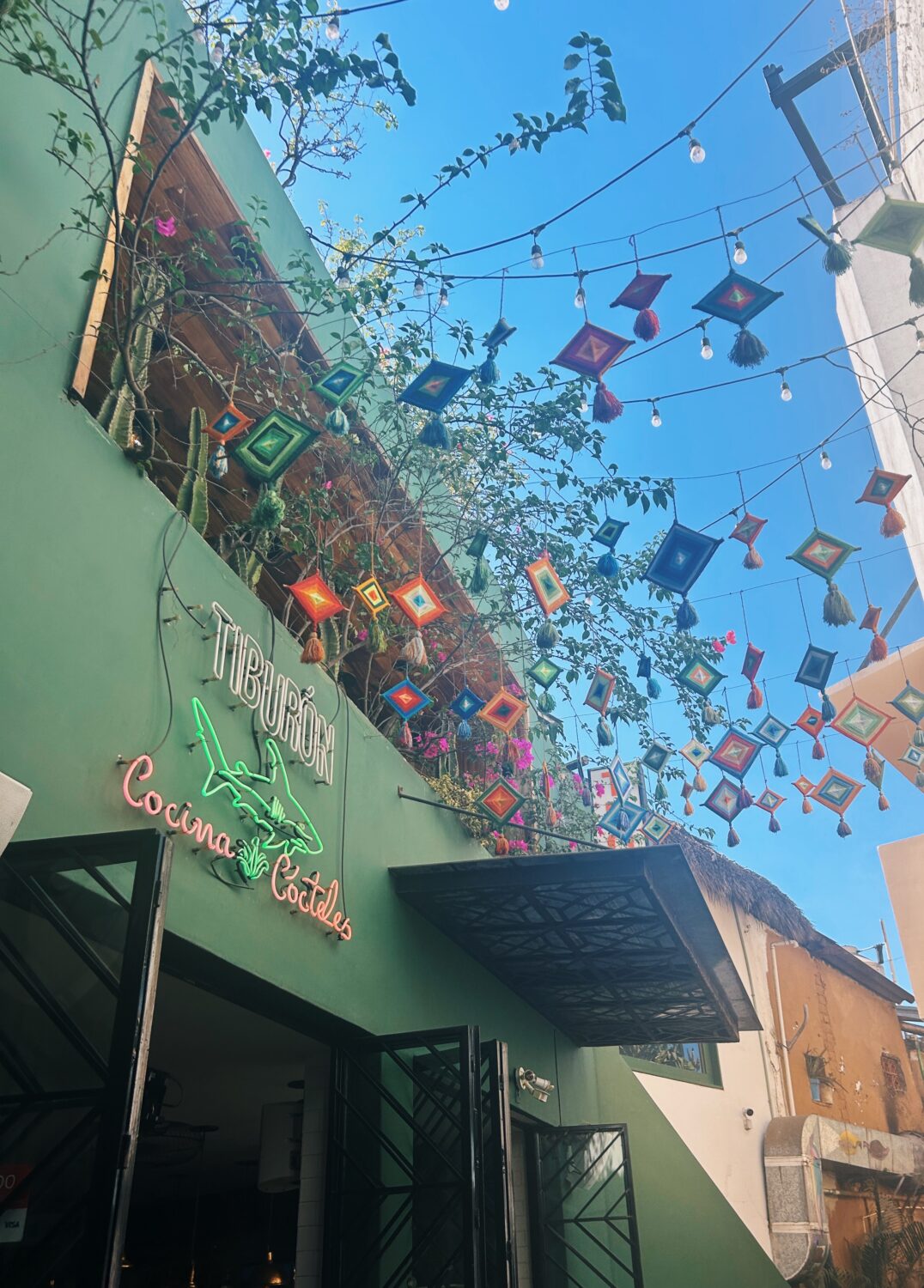 tiburon restaurant in sayulita